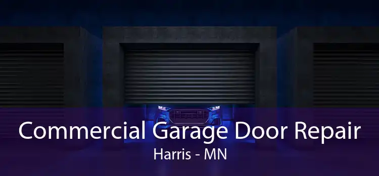Commercial Garage Door Repair Harris - MN