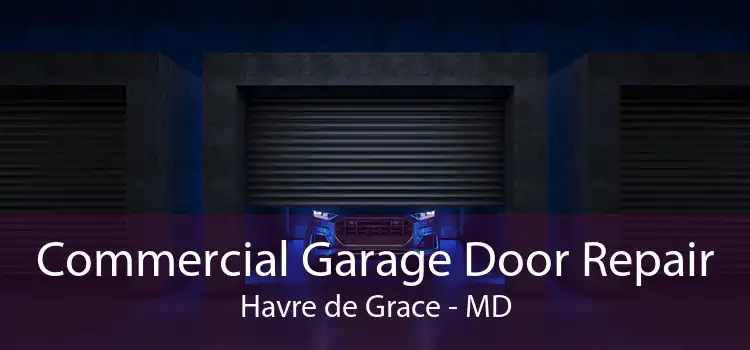 Commercial Garage Door Repair Havre de Grace - MD
