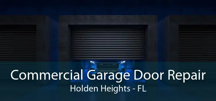 Commercial Garage Door Repair Holden Heights - FL