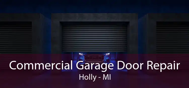Commercial Garage Door Repair Holly - MI
