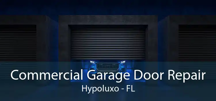 Commercial Garage Door Repair Hypoluxo - FL