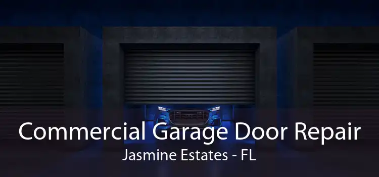 Commercial Garage Door Repair Jasmine Estates - FL