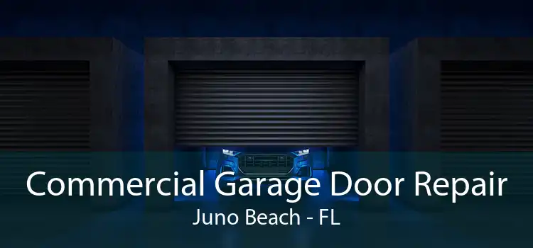 Commercial Garage Door Repair Juno Beach - FL