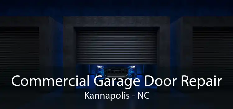 Commercial Garage Door Repair Kannapolis - NC