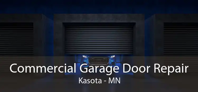 Commercial Garage Door Repair Kasota - MN
