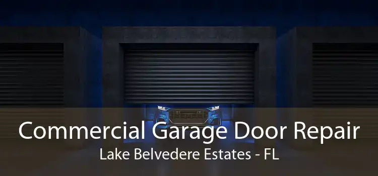Commercial Garage Door Repair Lake Belvedere Estates - FL