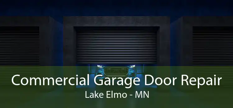 Commercial Garage Door Repair Lake Elmo - MN