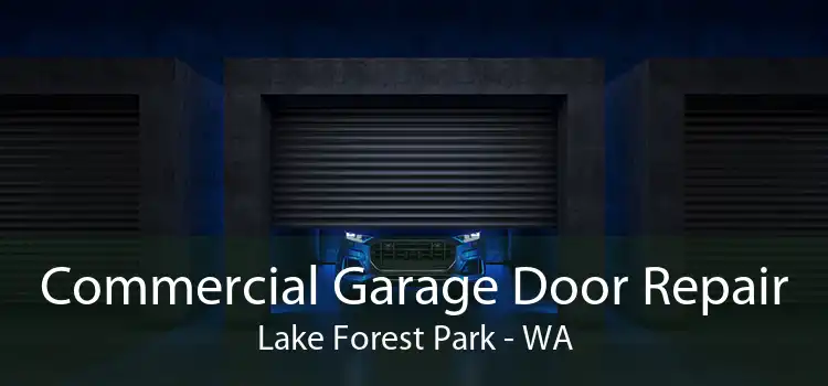 Commercial Garage Door Repair Lake Forest Park - WA