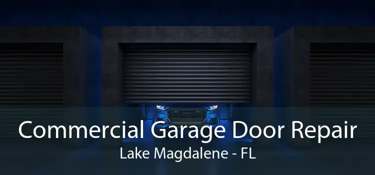 Commercial Garage Door Repair Lake Magdalene - FL