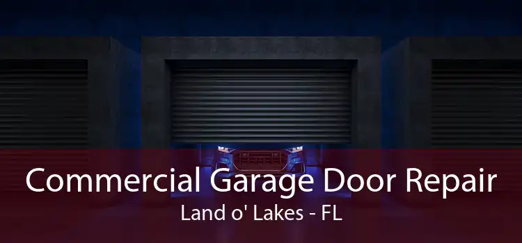 Commercial Garage Door Repair Land o' Lakes - FL