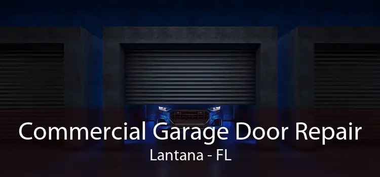 Commercial Garage Door Repair Lantana - FL