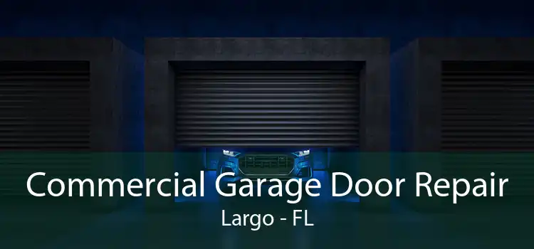 Commercial Garage Door Repair Largo - FL