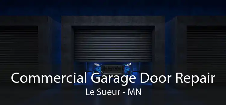 Commercial Garage Door Repair Le Sueur - MN