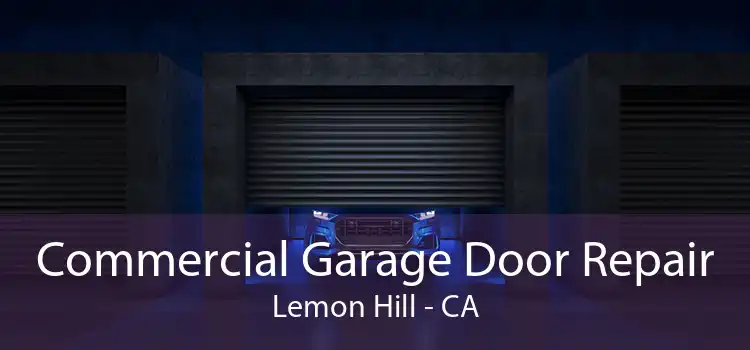 Commercial Garage Door Repair Lemon Hill - CA