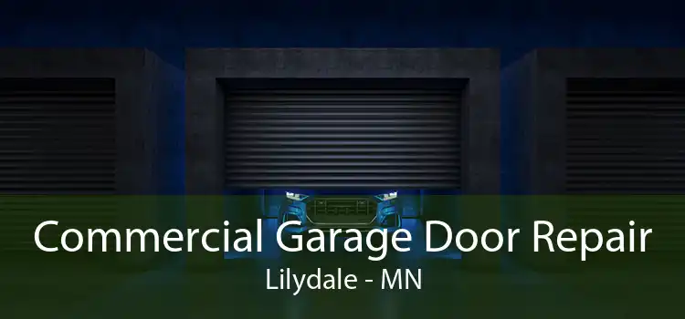 Commercial Garage Door Repair Lilydale - MN