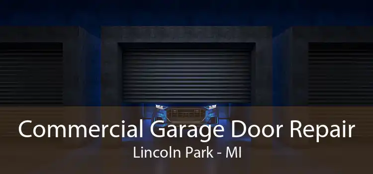 Commercial Garage Door Repair Lincoln Park - MI