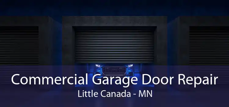 Commercial Garage Door Repair Little Canada - MN