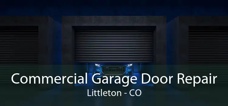 Commercial Garage Door Repair Littleton - CO