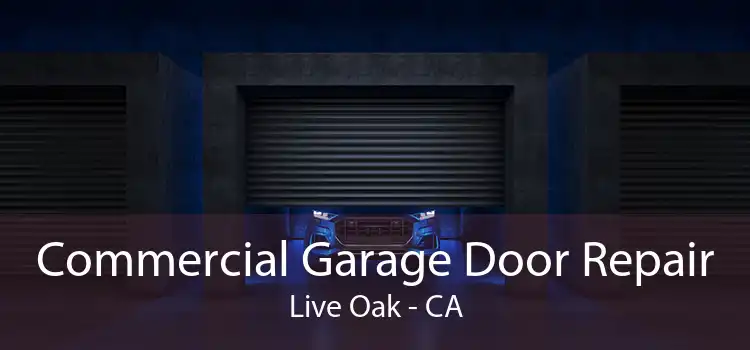 Commercial Garage Door Repair Live Oak - CA