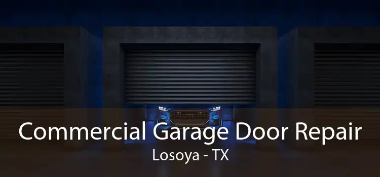 Commercial Garage Door Repair Losoya - TX
