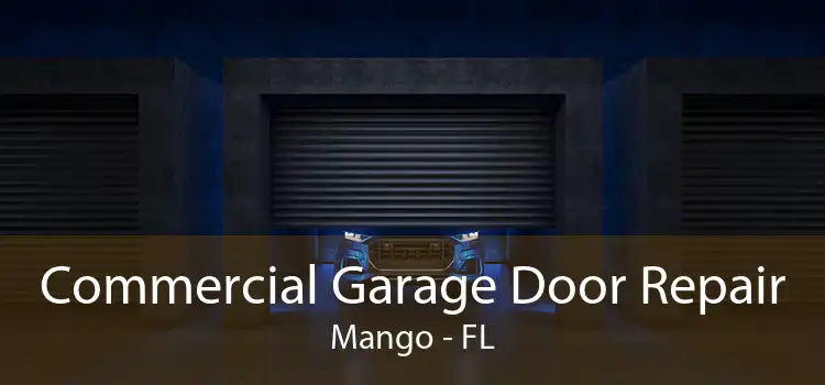 Commercial Garage Door Repair Mango - FL