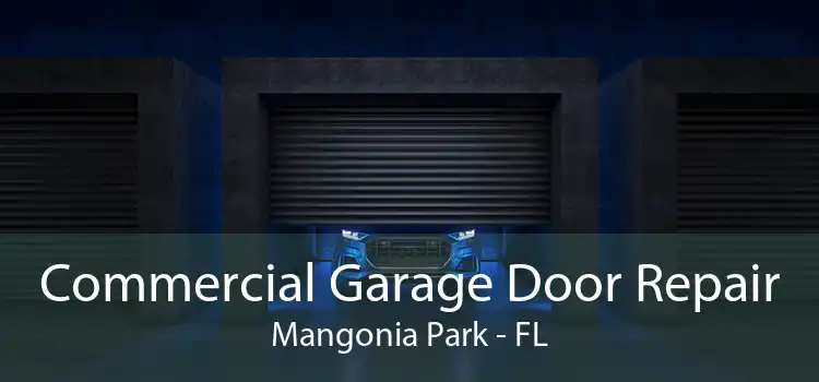 Commercial Garage Door Repair Mangonia Park - FL