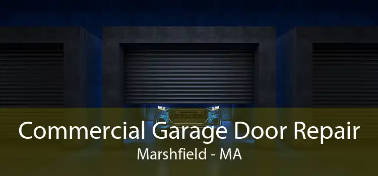 Commercial Garage Door Repair Marshfield - MA