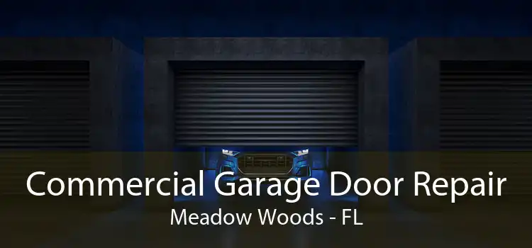Commercial Garage Door Repair Meadow Woods - FL