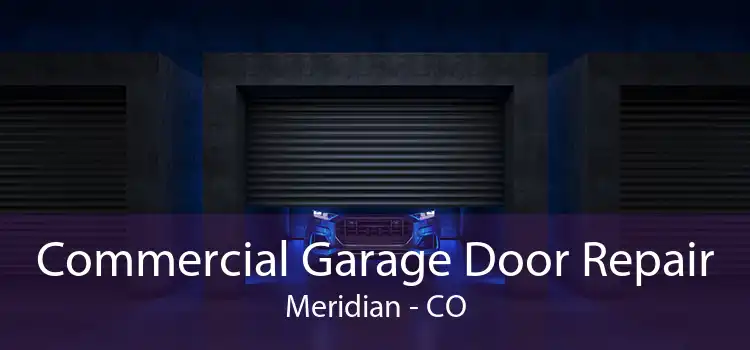 Commercial Garage Door Repair Meridian - CO