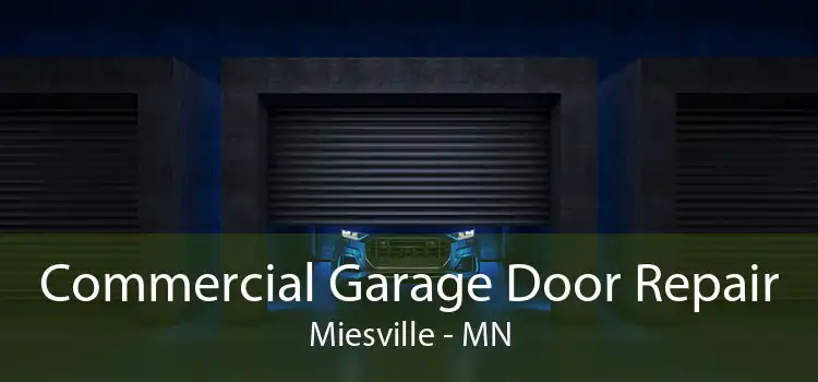 Commercial Garage Door Repair Miesville - MN