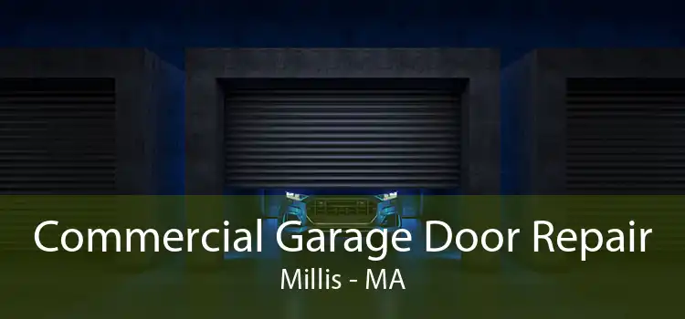 Commercial Garage Door Repair Millis - MA