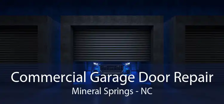 Commercial Garage Door Repair Mineral Springs - NC