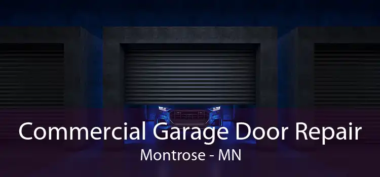 Commercial Garage Door Repair Montrose - MN