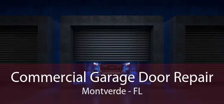 Commercial Garage Door Repair Montverde - FL