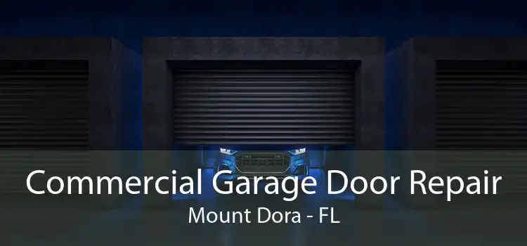 Commercial Garage Door Repair Mount Dora - FL