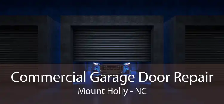 Commercial Garage Door Repair Mount Holly - NC