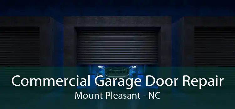 Commercial Garage Door Repair Mount Pleasant - NC