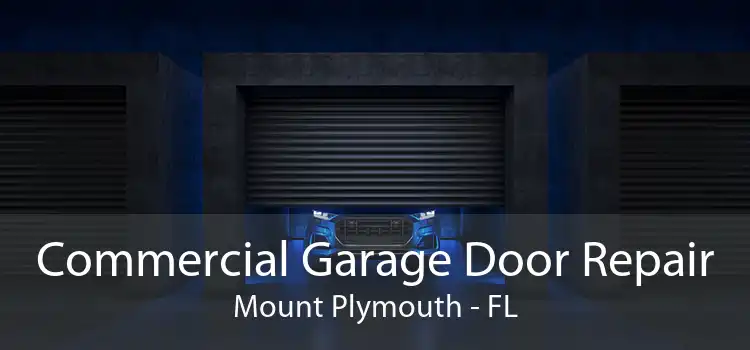 Commercial Garage Door Repair Mount Plymouth - FL