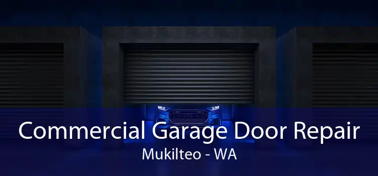 Commercial Garage Door Repair Mukilteo - WA