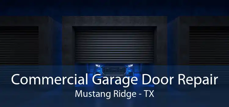 Commercial Garage Door Repair Mustang Ridge - TX