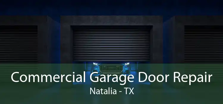 Commercial Garage Door Repair Natalia - TX