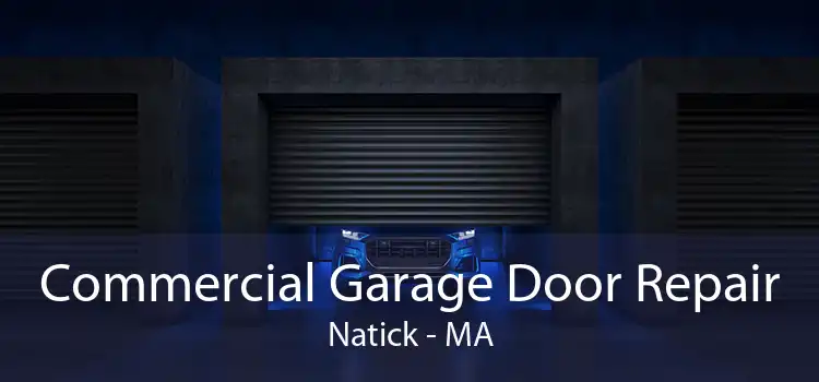 Commercial Garage Door Repair Natick - MA