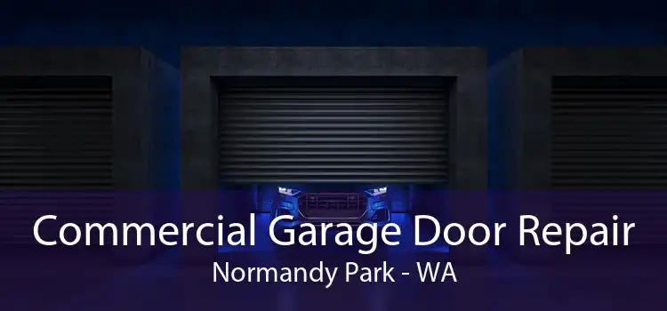 Commercial Garage Door Repair Normandy Park - WA