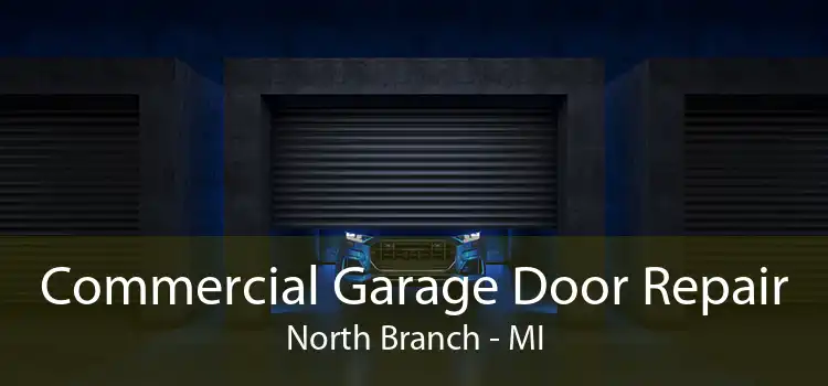 Commercial Garage Door Repair North Branch - MI
