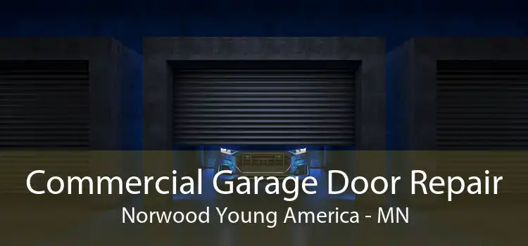 Commercial Garage Door Repair Norwood Young America - MN