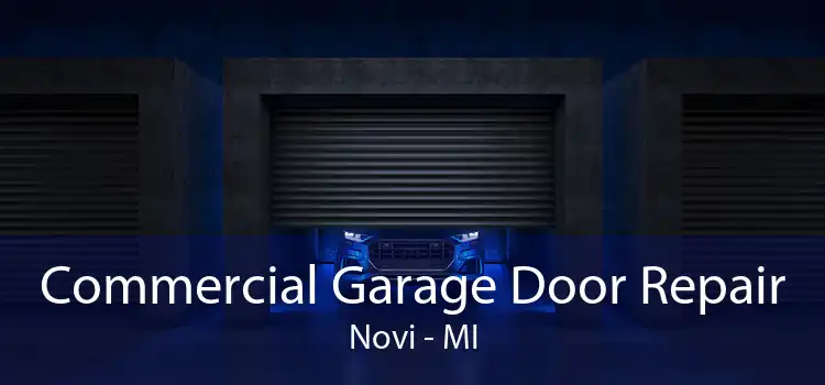 Commercial Garage Door Repair Novi - MI