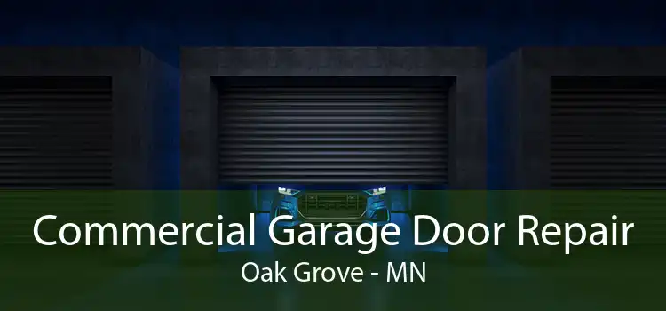 Commercial Garage Door Repair Oak Grove - MN