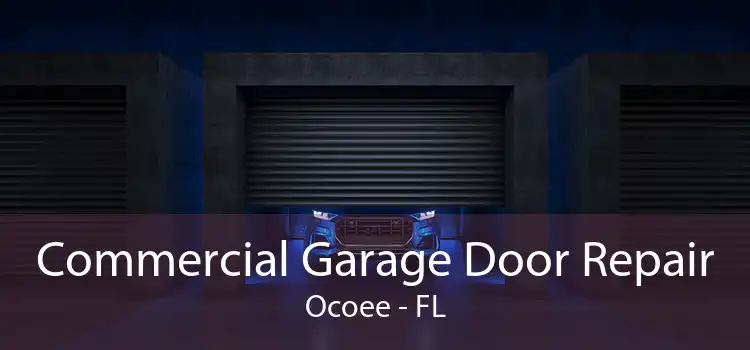 Commercial Garage Door Repair Ocoee - FL