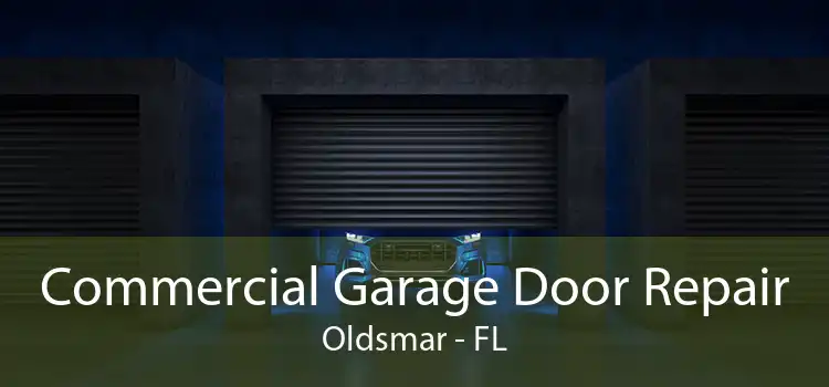 Commercial Garage Door Repair Oldsmar - FL