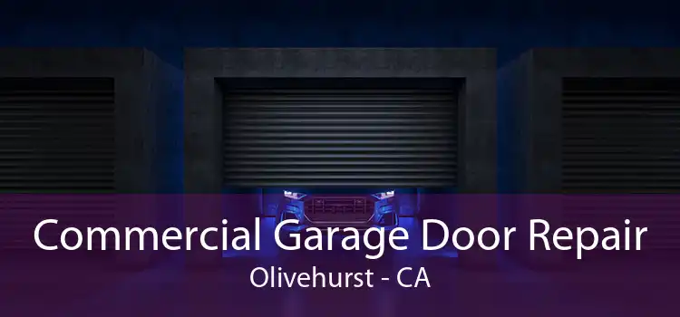 Commercial Garage Door Repair Olivehurst - CA